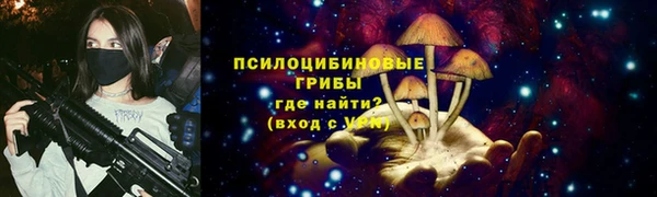 стаф Богородицк